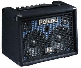 Изображение продукта Roland KC-110 клавишный комбо 