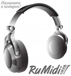 Изображение продукта RuMidi HeadPhones подарочные наушники